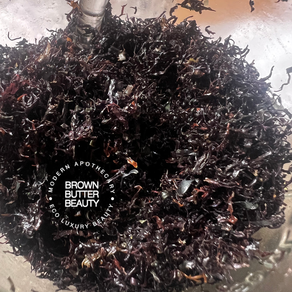 close up of Red Sea Moss Herb